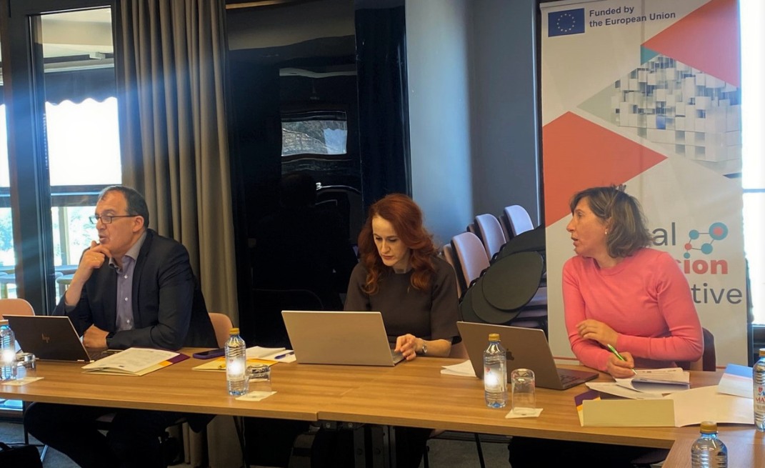 Meeting of Digital Inclusion Initiative (DII) Project Researchers in Skopje